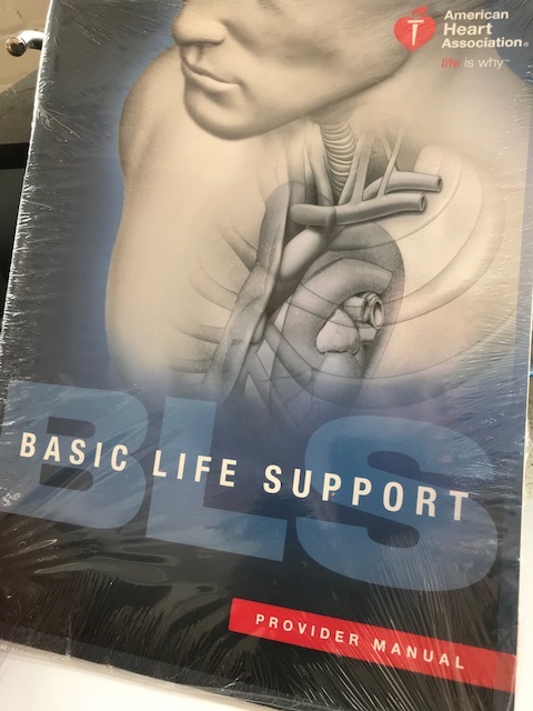 BLS course Chicago